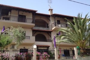 Studios Voula_accommodation_in_Hotel_Macedonia_Halkidiki_Chalkidiki Area