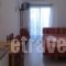 Lena Studios_best deals_Hotel_Macedonia_Halkidiki_Haniotis - Chaniotis