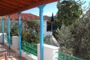 Gardenia_travel_packages_in_Aegean Islands_Samos_Kambos