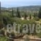 Aristea Studios_holidays_in_Hotel_Ionian Islands_Kefalonia_Kefalonia'st Areas