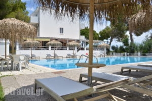 Blue Nest_best deals_Hotel_Dodekanessos Islands_Kos_Kos Rest Areas