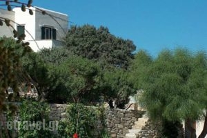 Kedros Villas_holidays_in_Villa_Cyclades Islands_Naxos_Naxos chora