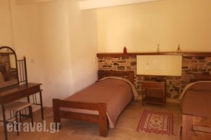 Agroktima_holidays_in_Hotel_Aegean Islands_Chios_Chios Rest Areas