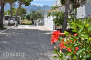 Blue Nest_best prices_in_Hotel_Dodekanessos Islands_Kos_Kos Rest Areas