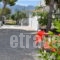 Blue Nest_best prices_in_Hotel_Dodekanessos Islands_Kos_Kos Rest Areas