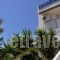 Hotel Vicky_lowest prices_in_Hotel_Cyclades Islands_Paros_Piso Livadi