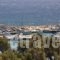 Hotel Vicky_travel_packages_in_Cyclades Islands_Paros_Piso Livadi