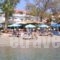 Hercules Sea Front Studios_best deals_Hotel_Ionian Islands_Kefalonia_Katelios