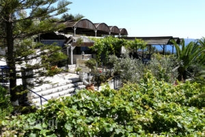 Golden Sun_best deals_Hotel_Peloponesse_Messinia_Methoni