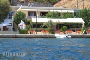 Studios Alexandra_holidays_in_Hotel_Sporades Islands_Skopelos_Skopelos Chora