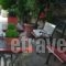 Abantis_best deals_Hotel_Central Greece_Evia_Edipsos