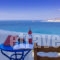 Dream View_accommodation_in_Hotel_Cyclades Islands_Naxos_Stelida