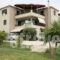 Pagonis Studios_accommodation_in_Hotel_Ionian Islands_Kefalonia_Kefalonia'st Areas