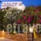 Galini Pension_accommodation_in_Hotel_Cyclades Islands_Ios_Ios Chora