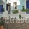 Studios Iris_lowest prices_in_Hotel_Aegean Islands_Samos_Pythagorio