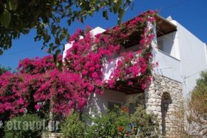 Kelly'S_accommodation_in_Hotel_Cyclades Islands_Antiparos_Antiparos Chora