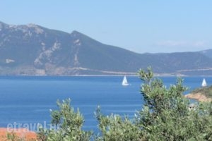 Hotel Mylos_holidays_in_Hotel_Central Greece_Evia_Istiea