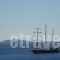 Stampalia Studios_best deals_Hotel_Dodekanessos Islands_Astipalea_Astipalea Chora