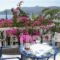 Australis_holidays_in_Hotel_Dodekanessos Islands_Patmos_Skala