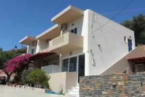 Platanos Studios_holidays_in_Hotel_Crete_Rethymnon_Plakias