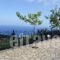 Evi's Studios_holidays_in_Hotel_Ionian Islands_Lefkada_Lefkada Rest Areas