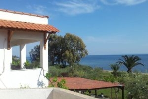 Afroditi Beach_best deals_Hotel_Macedonia_Halkidiki_Poligyros