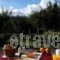 Plethon Residence_best deals_Hotel_Thessaly_Magnesia_Pilio Area