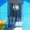 Galanis Place_accommodation_in_Hotel_Cyclades Islands_Antiparos_Antiparos Chora