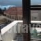 Notis Hotel_best deals_Hotel_Aegean Islands_Samos_Samos Chora