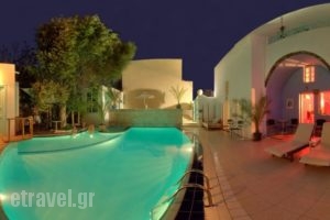 Museum Spa Wellness Hotel_accommodation_in_Hotel_Cyclades Islands_Sandorini_Sandorini Rest Areas