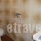 Pension Dimitra_best deals_Hotel_Sporades Islands_Skopelos_Skopelos Chora