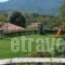 Rodami_best deals_Hotel_Epirus_Ioannina_Terovo