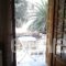 Studios Maro_best deals_Hotel_Aegean Islands_Lesvos_Kalloni