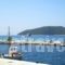 Maria Studios_holidays_in_Hotel_Sporades Islands_Skopelos_Neo Klima - Elios