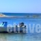 Sunset Studios_best prices_in_Hotel_Cyclades Islands_Naxos_Agia Anna