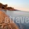 Lagomandra Hotel and Spa_best deals_Hotel_Macedonia_Halkidiki_Haniotis - Chaniotis