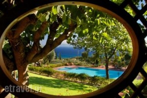 Felix Residence_holidays_in_Hotel_Ionian Islands_Kefalonia_Vlachata