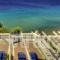 Aneroussa Beach Hotel_travel_packages_in_Cyclades Islands_Andros_Andros City