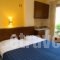 Giota Studios_best deals_Hotel_Central Greece_Evia_Edipsos