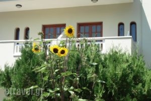 Seagull Studios_holidays_in_Hotel_Crete_Heraklion_Malia