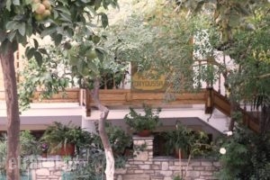 Pension Dryoussa_accommodation_in_Hotel_Aegean Islands_Samos_Pythagorio