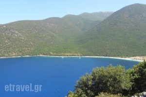 Leonidas Studios_best prices_in_Hotel_Ionian Islands_Kefalonia_Kefalonia'st Areas