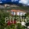 Summer Dream_accommodation_in_Hotel_Ionian Islands_Kefalonia_Vlachata