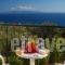 Summer Dream_best deals_Hotel_Ionian Islands_Kefalonia_Vlachata