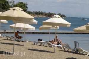 Hotel Petit Village_best deals_Hotel_Central Greece_Evia_Eretria