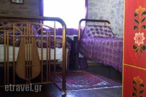 Proselinos_lowest prices_in_Hotel_Peloponesse_Arcadia_Dimitsana