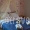 Homer'S Studio_accommodation_in_Hotel_Ionian Islands_Lefkada_Lefkada's t Areas