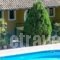 Afrodite'S Pool And Studios_lowest prices_in_Hotel_Ionian Islands_Corfu_Palaeokastritsa