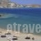 Hotel Senia_best deals_Hotel_Cyclades Islands_Paros_Paros Chora