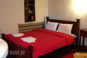 Guesthouse Eleni_accommodation_in_Hotel_Thessaly_Larisa_Ambelakia